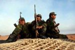 Désintox : Des mercenaires subsahariens enrolés par les FAR et un officier émirati tué, selon le Polisario