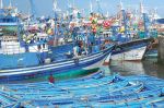 Pêche côtière et artisanale : Baisse des débarquements de 17% à fin juillet