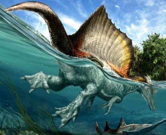 Un fossile de dinosaure probablement découvert au Maroc en vente sur  Facebook