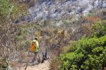 M'diq-Fnideq : L'incendie de la forêt Kodiat Tifour presque circonscrit, 125 ha ravagés
