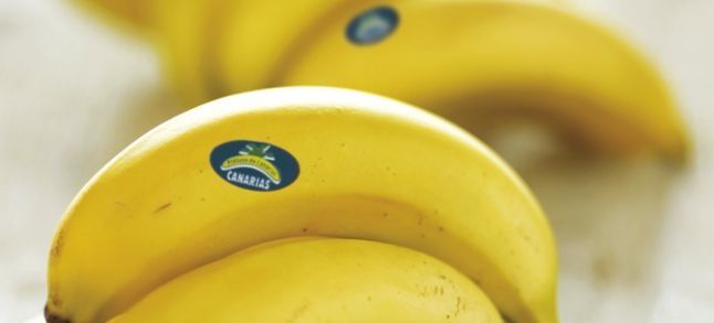 Morocco to import Canary Island bananas./Ph. DR