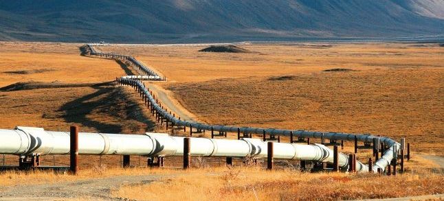 40 associations sign a petition against the construction of the Nigeria-Morocco gas pipeline