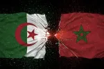 Cyberattaques algériennes : Après la CNSS, Jabaroot récidive avec la Conservation foncière au Maroc