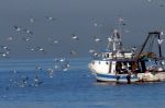 Maroc : Hausse de 6% des débarquements pour la pêche maritime