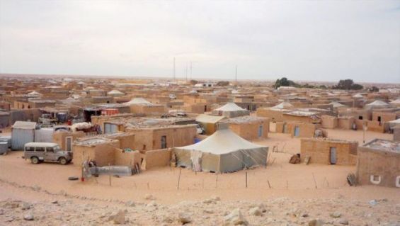 Après le Niger et la Mauritanie, le Sahara vit à l’heure de la ruée vers l’or. / DR