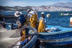 Halieutis : Le Maroc mise sur la valorisation et la mise à niveau de sa pêche artisanale