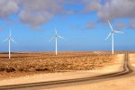 Éoliennes au Sahara : Le Polisario vent debout contre Siemens