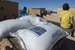 Pour recevoir plus d'aides humanitaires, le Polisario mobilise des ONG internationales