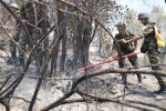 Feux de forêts : 35 hectares ravagés par l'incendie déclaré à Fahs-Anjra