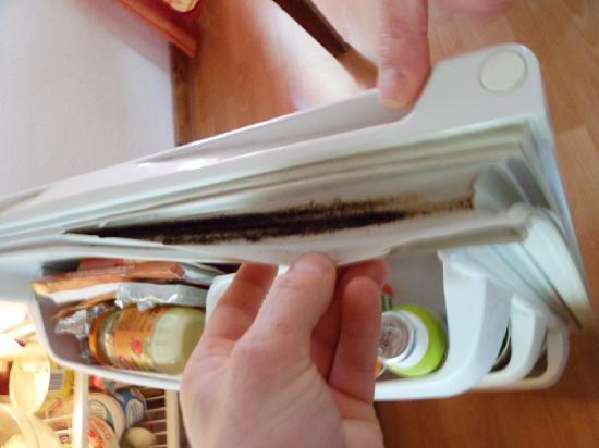 Trucs et astuces : Nettoyer le joint du frigo