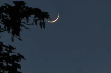 Eid al-Adha to be celebrated on Saturday, June 7 in Morocco