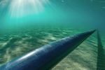 Fortescue - Jan De Nul : Projet de câbles sous-marins pour relier l'Afrique du Nord à l'Europe