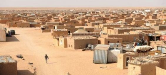 Tindouf camps in the south of Algeria. / Ph. DR.