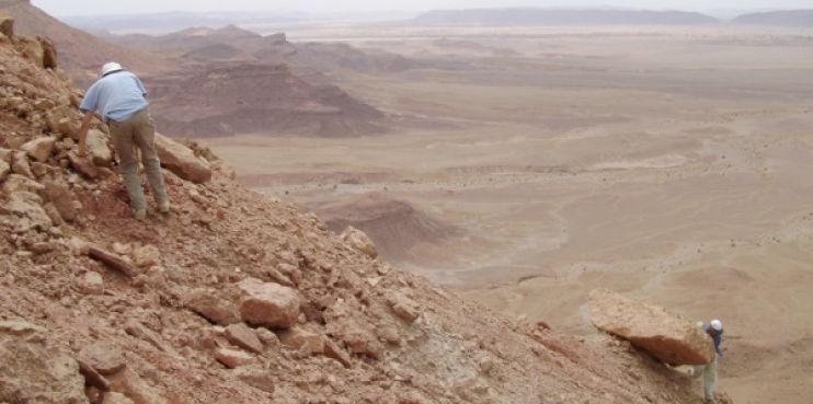 L’existence de dinosaures semi-aquatiques  prouvée par des fossiles découverts au Maroc