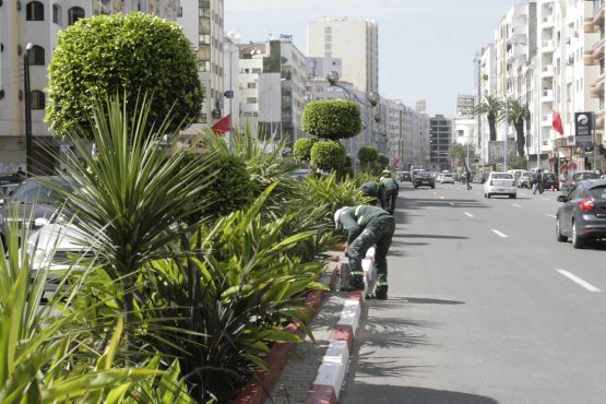 Maroc : Casablanca et Zerktouni se font beaux pour Hollande