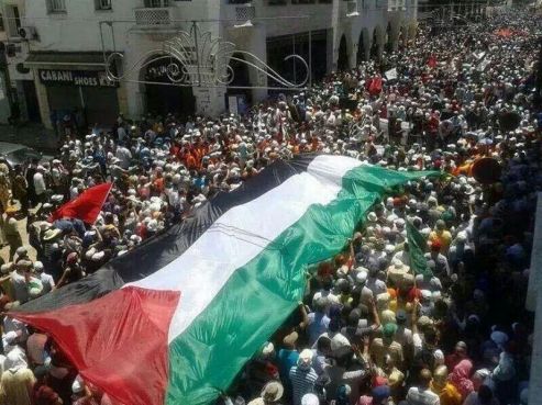 Marche de soutien à Gaza, ce dimanche à Rabat / Photos postées sur les réseaux sociaux - DR