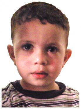 Le petit Raïd en mai 2014 avant son agression.