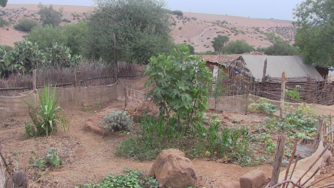 Les potagers du village souffrent de sécheresse. / Ph. Mounira Lourhzal