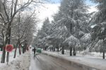 Maroc : Pluie, neige et rafales de vent vendredi et samedi