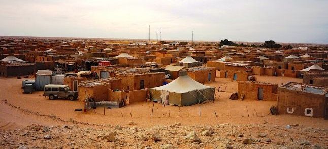 American senators want the Donald Trump administration to consult the UN before sending aid to Western Sahara./Ph. DR