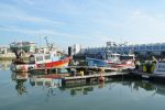 Tanger : Plus de 60 infections au coronavirus chez les professionnels de la pêche maritime