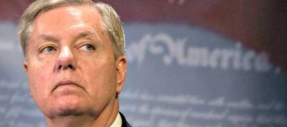 Senator Lindsey Graham./Ph. DR 