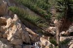 Maroc : Les autorités rasent les habitats non-autorisés sur le domaine littoral