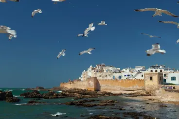 UNOC 2025 : À Nice, le Maroc porte la voix de l’Afrique pour la protection des océans