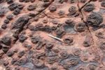 Une vie microbienne extrêmophile datant de 570 millions d'années découverte au Maroc