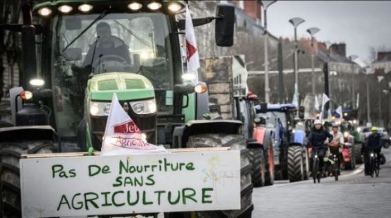 Dozens of Spanish farmers protest in Algeciras over Moroccan imports