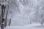 Maroc : Neige et fortes averses orageuses jusqu'à jeudi