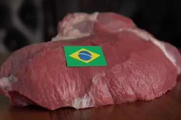 Morocco launches international tender to import 4,000 tons of frozen meat for Armed Forces
