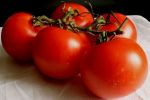 Les exportations de tomates marocaines mobilisent les producteurs français et espagnols