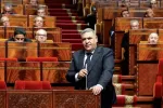 Chiens errants : Laftit défend une gestion respectueuse du bien-être animal