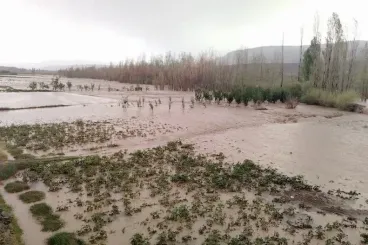 سيول بتنغير تجرف سيارة رباعية الدفع وتخلف أربعة قتلى