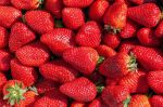 Espagne : Nouvelle alerte à l'hépatite A concernant des fraises du Maroc