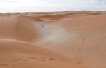 Narcotrafic au Sahel : Vers une overdose du Polisario ?