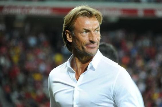 Herve Renard steps down as Morocco coach after AFCON