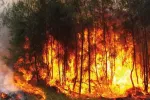Maroc : 8 incendies maîtrisés en 24 heures, 20 hectares touchés (ANEF)