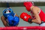 Championnat arabe de boxe : Mohamed Amine Arbii et Oussama Rabii s'imposent au Koweït