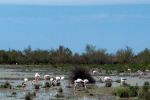 Maroc : Intégration de 12 nouvelles zones humides sur la liste de Ramsar