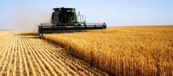 Guinea Conakry receives 25,000 tones of Moroccan fertilizers./Ph.DR