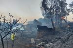 Tétouan : 90 hectares de forêt incendiés et 70 habitations touchées