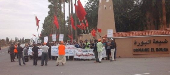 Workers fired from a farm owned by Moulay Hicham demand their rights