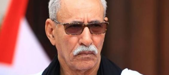 The Polisario's head Brahim Ghali. / Ph. DR