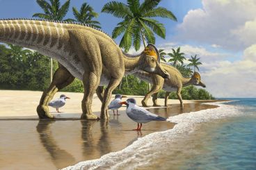 Paléontologie : La découverte de fossiles au Maroc réécrit le dernier chapitre de l’ère des dinosaures