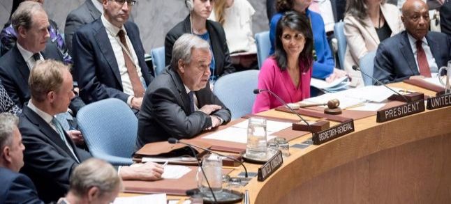 UN Security Council./Ph. DR