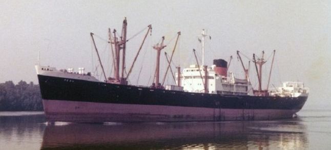 A ship sailing in the Gulf of Guinea./Ph. DR
