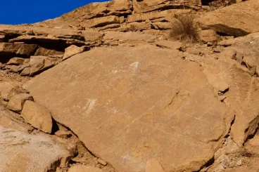 المغرب يفقد موقعا نادرا لآثار أقدام التيروصورات بعد سرقته 