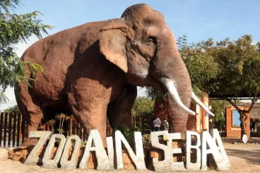 Casablanca’s Ain Sebaa Zoo reopens to the public after major revamp